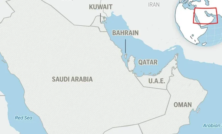 Bahrain spy agency officer is sentenced to life over in-custody death