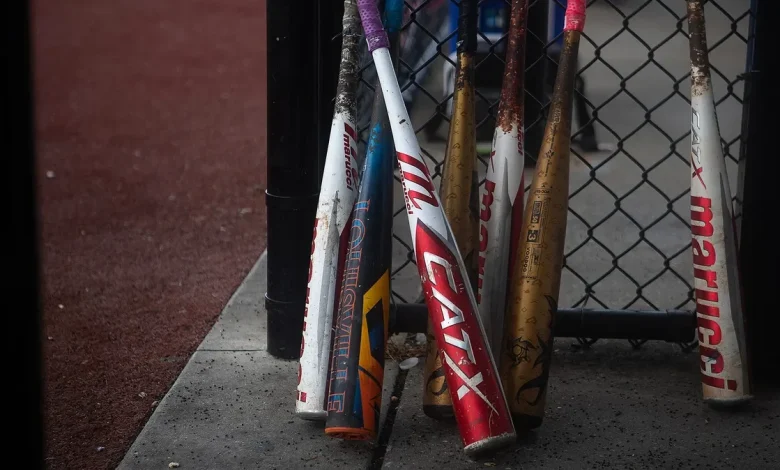 Banned youth baseball coach says he wouldn’t pass background check after dugout incident
