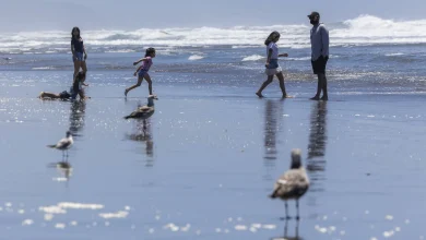 Bay Area Faces a Weather ‘Quadfecta’: Heat, Fire Risk, Flooding and Powerful Waves