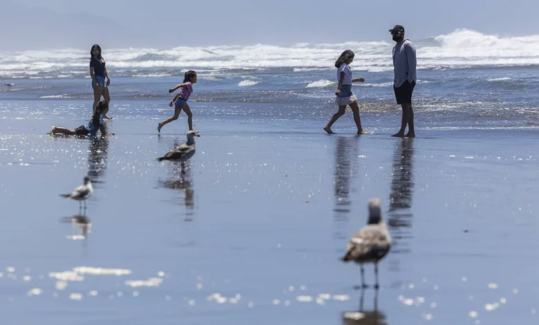 Bay Area Faces a Weather ‘Quadfecta’: Heat, Fire Risk, Flooding and Powerful Waves