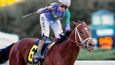Belmont Stakes 2026: Odds and analysis + top win pick