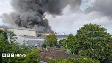 Bermondsey recycling centre fire causes disruption to rail travel
