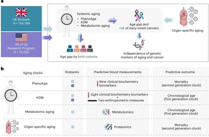Biological aging and generational shifts in early-onset cancer risk