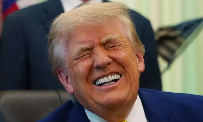 Bizarre Trump Oval Office Moments Lead To 25th Amendment Call