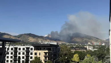 Blaze sparks above Red Butte Garden in Salt Lake City