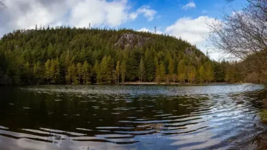 Bodies of 2 paddleboarders recovered from Browning Lake in Squamish