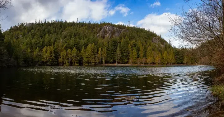 Bodies of 2 paddleboarders recovered from Browning Lake in Squamish