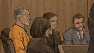 Boelter pleads guilty in lawmaker attacks, agrees to two life sentences - MPR News