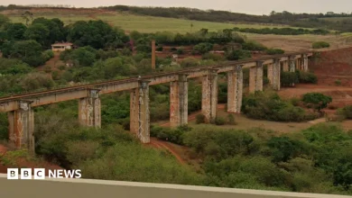 Brazil woman dies after rope-jumping instructors fail to attach cord