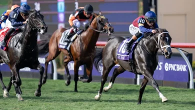 Breeders' Cup-winning US sprinter ruled out of Royal Ascot