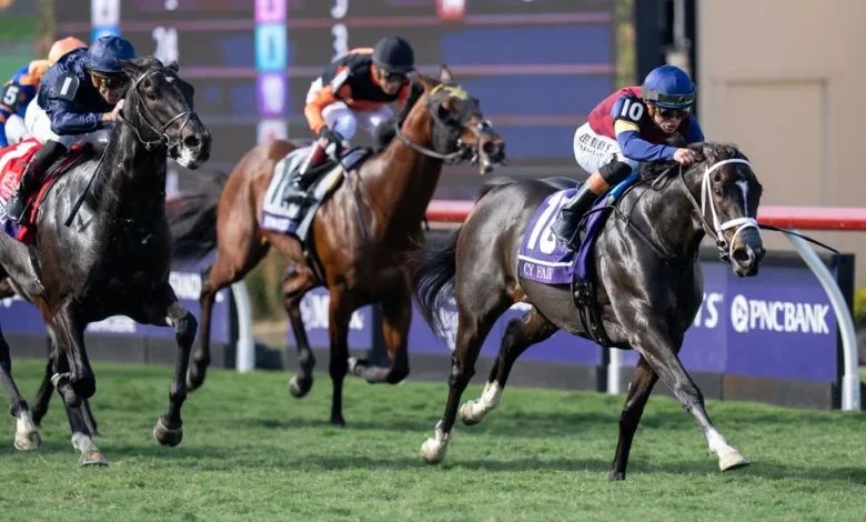 Breeders' Cup-winning US sprinter ruled out of Royal Ascot