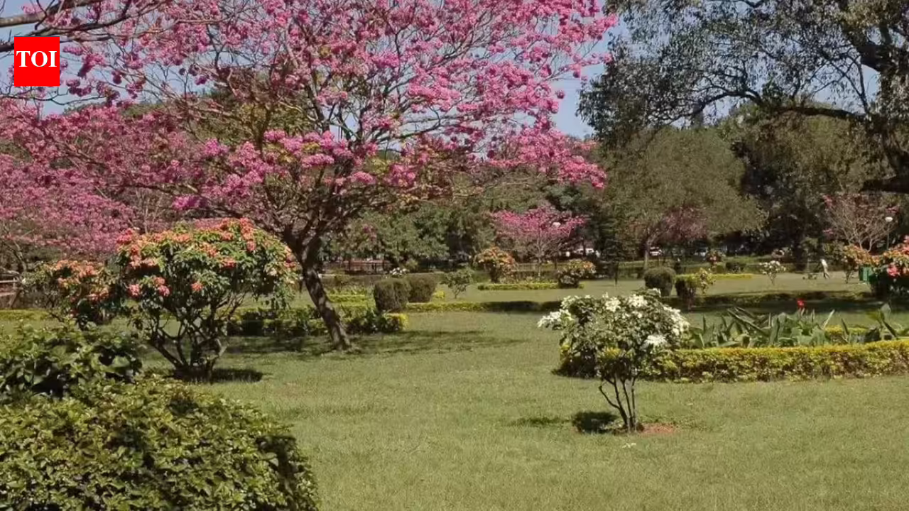 Canadian man settles in India with wife's family: Cost of living way lower than Toronto, lost 14lbs in 5