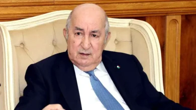 Centrale électrique, gazoduc : comment Alger reconquiert Niamey après la fracture avec Bamako
