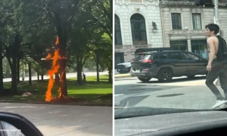 Chicago police release photo of 'person of interest' after video shows burning cross in Grant Park in Loop
