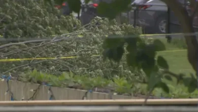 Child airlifted to hospital in serious condition after tree falls in Oshawa
