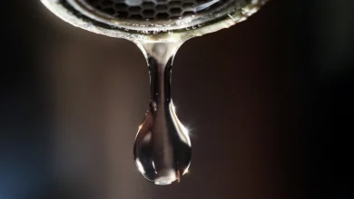 Conduite fragilisée | La consommation d’eau en baisse à Montréal
