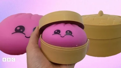 Councils warn people about the safety of dumpling squishies