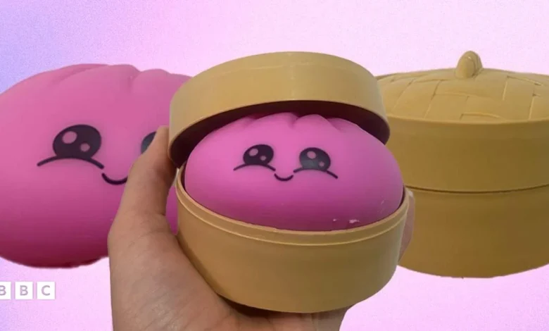 Councils warn people about the safety of dumpling squishies