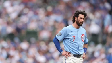 Craig Counsell benches Dansby Swanson for a reset as Cubs search for answers