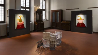 Cremona Contemporanea: quarta edizione chiude con oltre 28 mila presenze