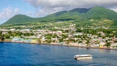 Cruise ship passenger found dead on Caribbean island after vanishing during hike