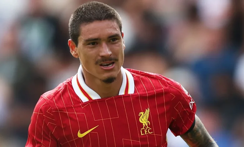 Darwin Nunez to bring chaos factor back to Liverpool? Reds legend John Barnes explains what Andoni Iraola needs from first summer & transfer window at Anfield