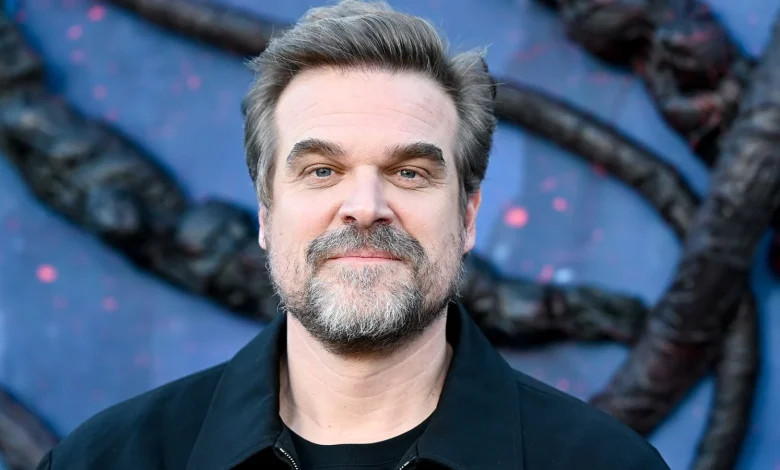David Harbour Breaks Silence on Lily Allen Album, Millie Bobby Brown