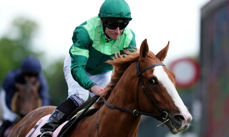 Derby: Benvenuto Cellini leads four-strong Aidan O'Brien team for Epsom Classic