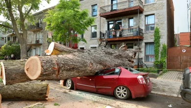 Des orages font des dégâts à Montréal