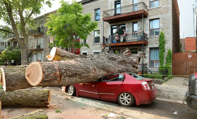 Des orages font des dégâts à Montréal