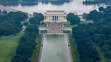 Device installed to help keep Trump’s Reflecting Pool clear of algae was never used on a pool: report