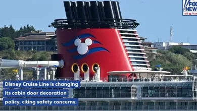 Disney Cruise Line reins in hall and ceiling decorations as safety concerns grow