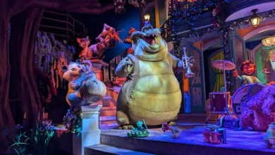 Disneyland Issues Statement Following Child's 50 Foot Fall From Attraction