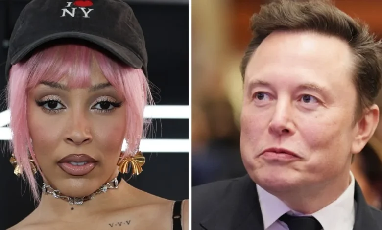 Doja Cat Slams Elon Musk as a 'Barrel Chested Ewok'