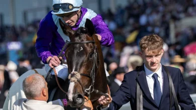 Double For James Doyle As Generic Wins The Hampton Court