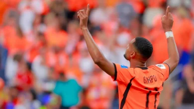 Dutch striker Cody Gakpo mourns the loss of unborn son at World Cup