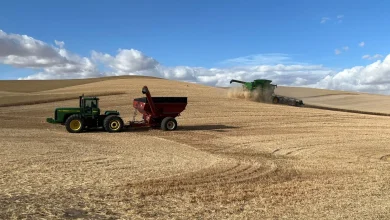 Eager for a break, farmers don't expect much relief after the Iran peace deal : NPR
