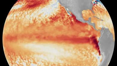 El Niño Is Here. What It Means For Weather This Year
