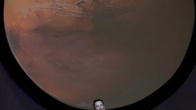 Elon Musk to get a billion shares of SpaceX if he can settle a million humans on Mars