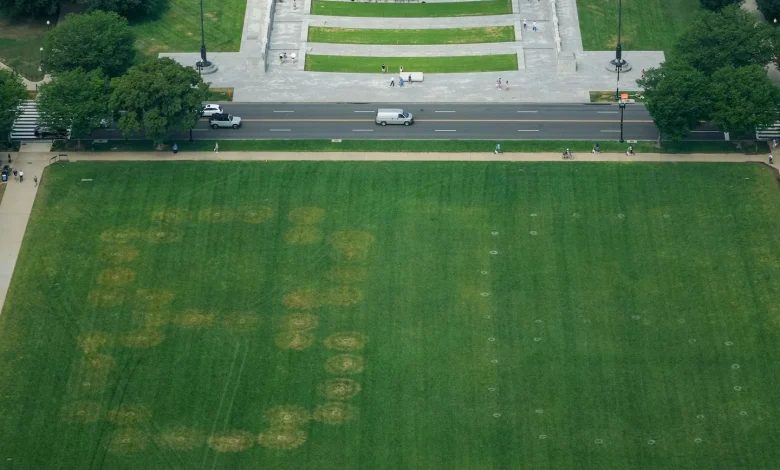 Enormous etchings of numbers interpreted as threat to Trump appear on National Mall - The Washington Post
