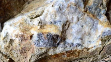 European Resources identifies new rare earth anomalies at Korsnäs in Finland