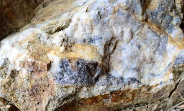 European Resources identifies new rare earth anomalies at Korsnäs in Finland
