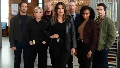 Everything to Know About Law & Order: SVU Season 28