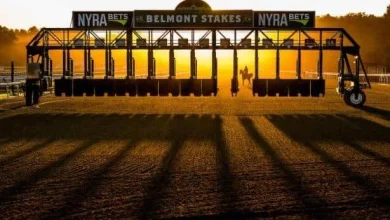 Expert picks: See how HRN writers play the Belmont
