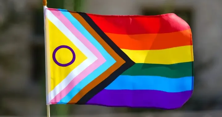FIFA to allow pride flags at Iran-Egypt World Cup clash in Seattle