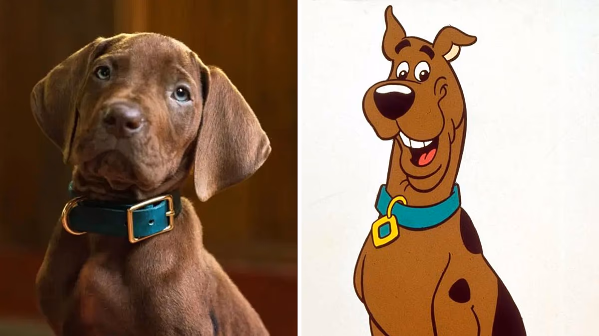 Fans outraged over four-legged star of Scooby-Doo live-action reboot