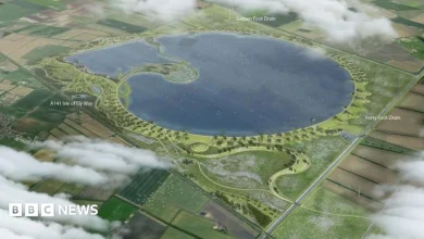 Fens reservoir: parking apps, traffic and loos among local issues