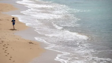Fine and sunny Tuesday with temperatures reaching 33°C