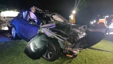 Florida man dies after Tesla reportedly in autopilot mode strikes utility box and sinks into pond