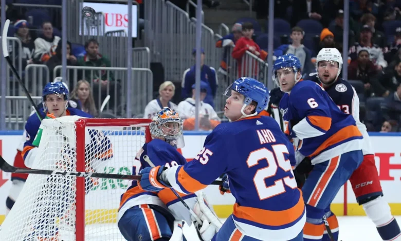 Former Islanders Defensemen Signs In Swedish Hockey League